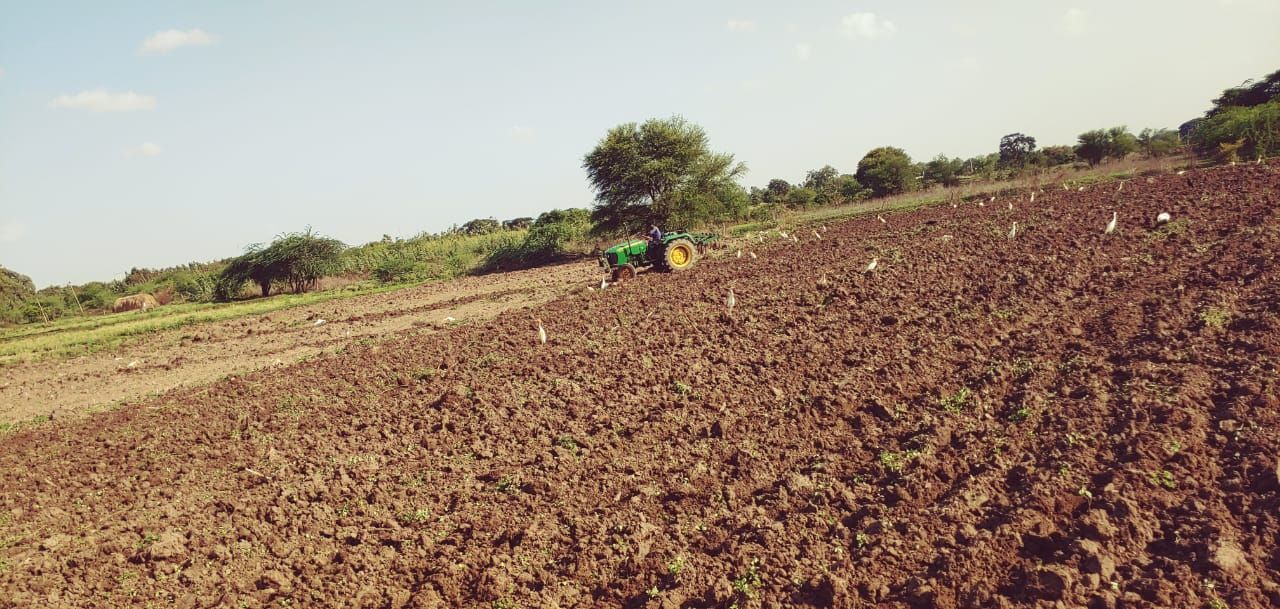 Agricultural Land